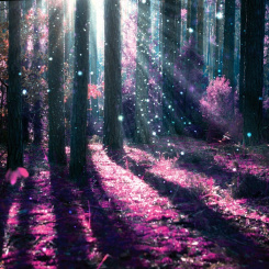 Einzelausgaben aus "12 zauberhafte Monate" Sommernachtstraum (PDF-Ausgabe)