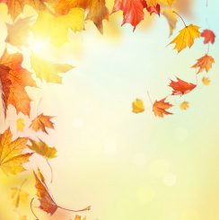 Einzelausgaben aus "12 zauberhafte Monate" Blättertanz (PDF-Ausgabe)