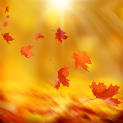 Einzelausgaben aus "Charming Moments Vol. 1" Autumn Wind (PDF-Ausgabe)