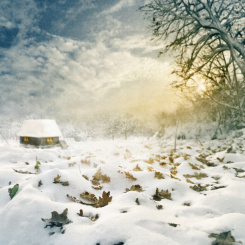 Einzelausgaben aus "Piano Moods - Das Winteralbum" Winters Day (PDF-Ausgabe)