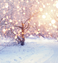 "Leise rieselt der Schnee" leichte Version (PDF) 