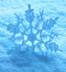 "Schneeflöckchen, Weißröckchen" mittelleichte Version (PDF) 