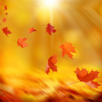 Einzelausgaben aus "Charming Moments Vol. 1" Autumn Wind (PDF-Ausgabe)