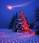 morepic-1