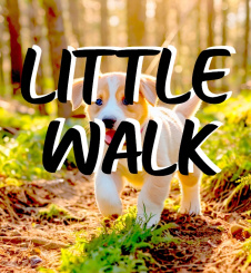 Little Walk - Variationen 